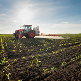 Agrarwirtschaft & Aquakultur