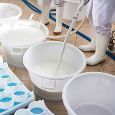 Milch- & Käseherstellung